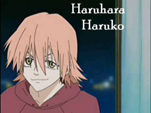 Haraharu Haruko